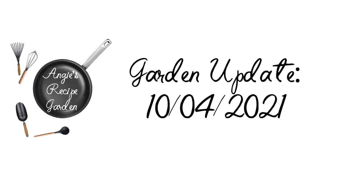 Planting Potatoes & Garlic Angie's Recipe Garden