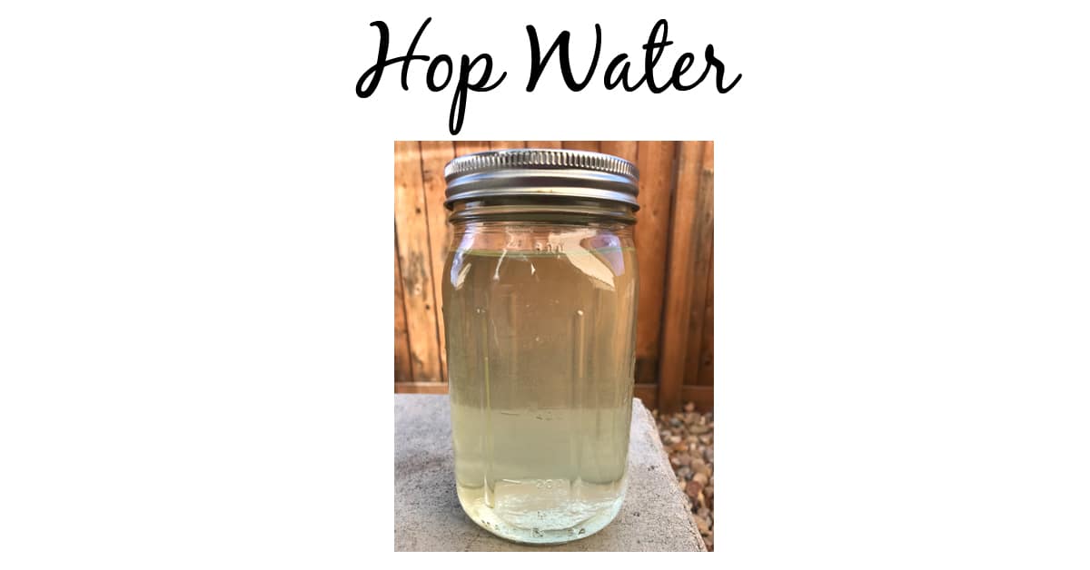 Make Your Own Hop Water Angie's Recipe Garden