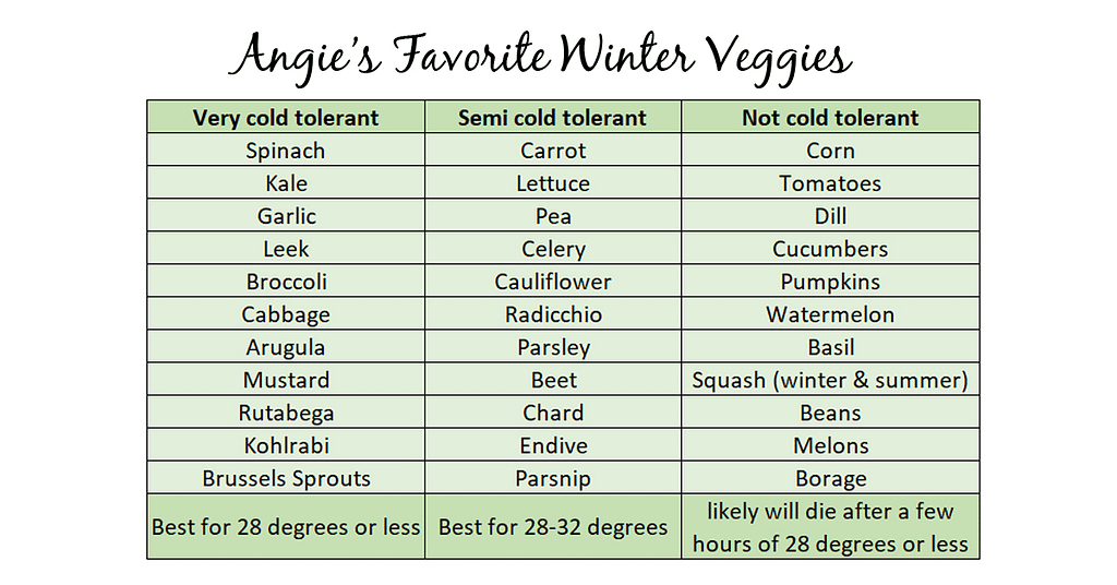 Angie's Favorite Winter Veggies