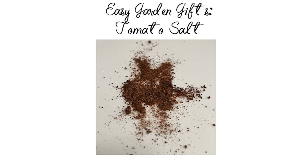 Regardless of your tomato harvest this year, you can make a flavorful tomato salt! By combining tomato paste & salt, you will have an awesome spice any time!