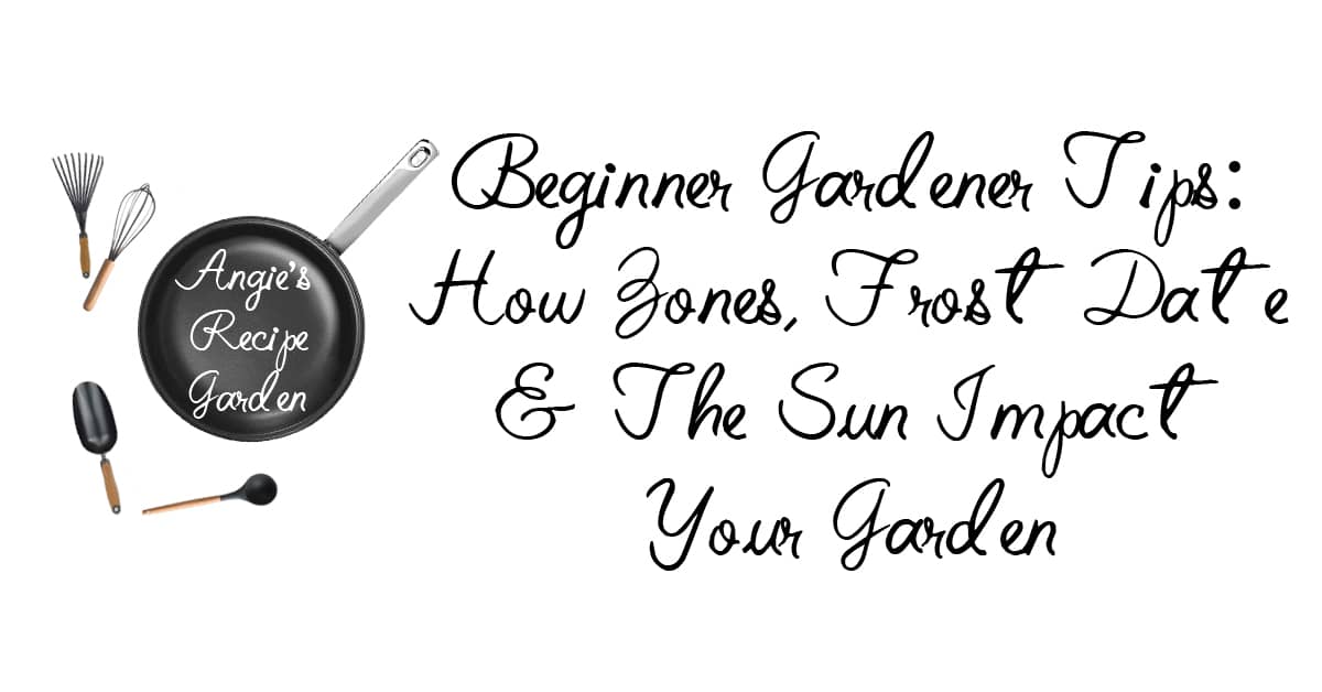 Easy Beginner Gardening Tips You Can Use Now