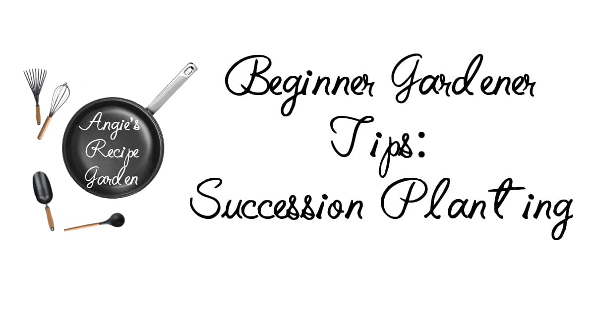 Why You Need To Succession Plant