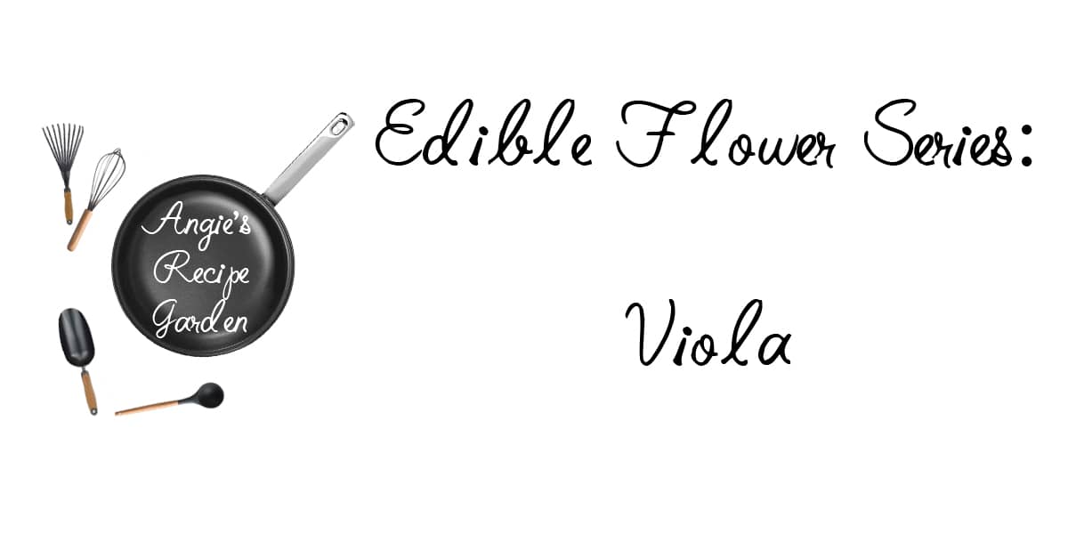 Beautiful Viola Flowers Will Make You Want To Bake More