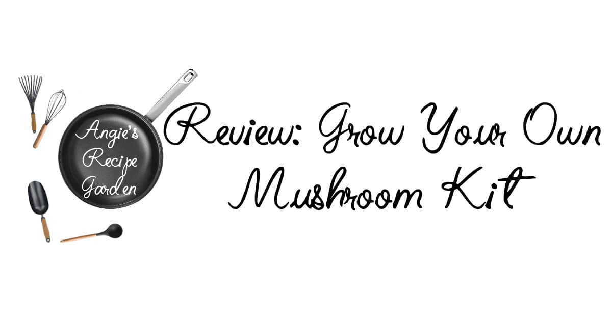 Unlock Your Inner Gardener – Try A Mushroom Grow Kit Today!