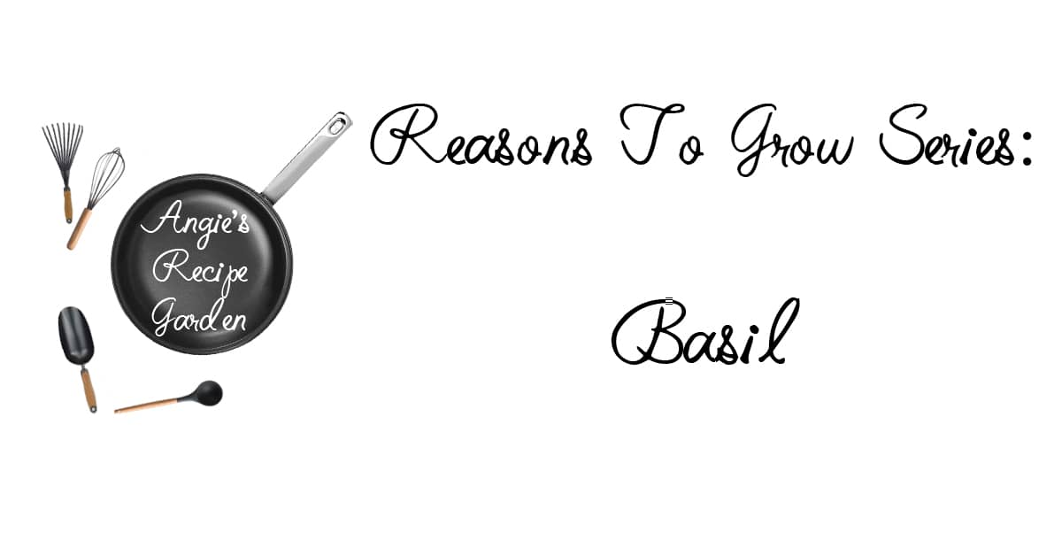 Learn How Powerful Basil Can Be In The Garden