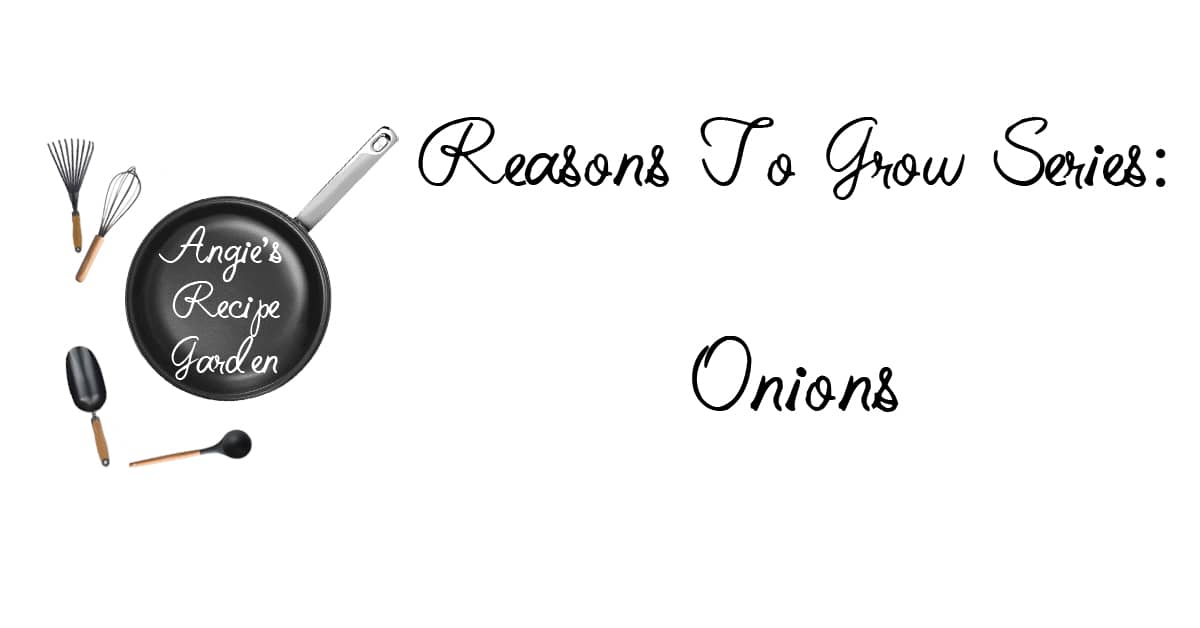 Read This Now: Onions Are Like Magic In Your Garden