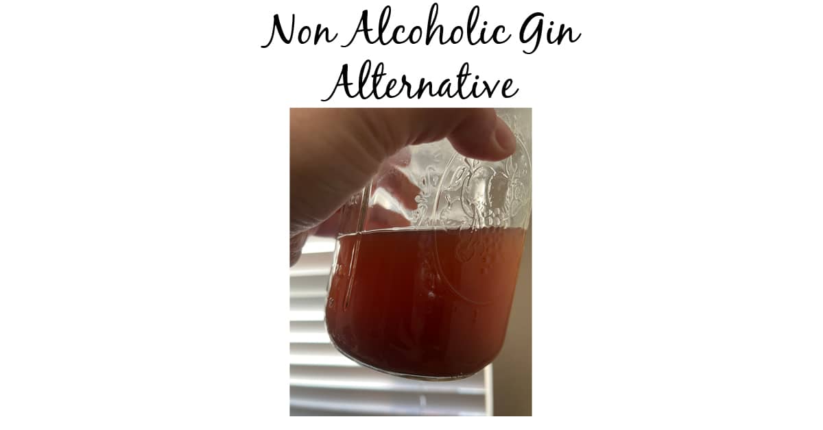 Insanely Easy Non-Alcoholic Gin Alternative