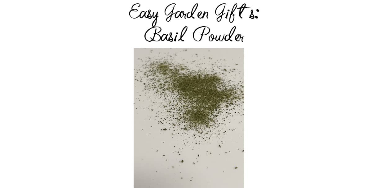 Give The Inexpensive Easy Gift Of Basil Powder