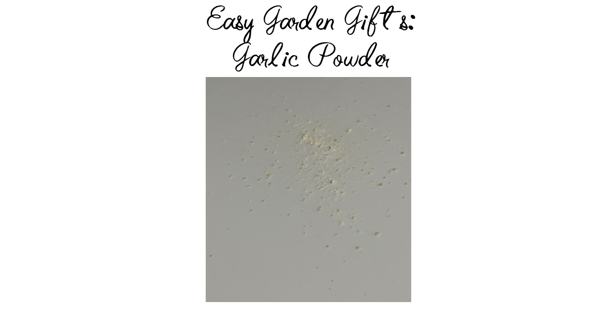 Quick Prep For A Great Gift Of Garlic Powder