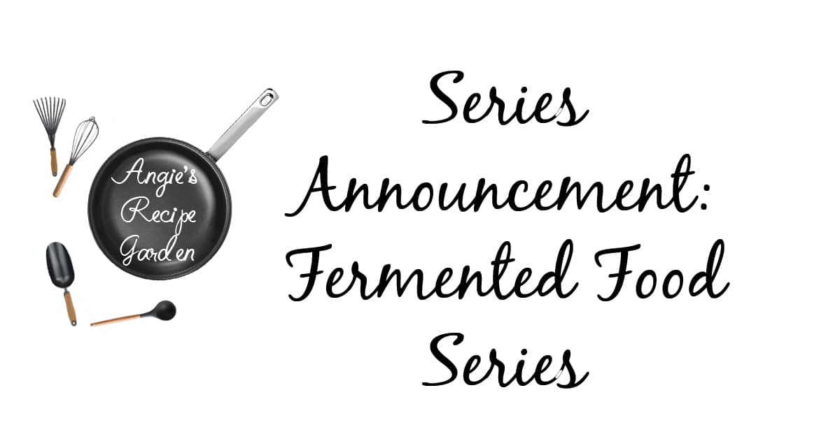 The Simplistic Fermented Series You Must Read This Month