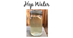 Beautiful hop water waits to be carbonated. Make your own hop water today!
