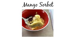 When I tried mango sorbet for the first time, I knew I had to share it with everyone! This silky smooth treat is perfect when watching processed food intake.