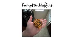 If you love pumpkin as much as I do, you will love this muffin! My pumpkin muffin doesn't have any processed sugar added, so it can be enjoyed guilt-free.