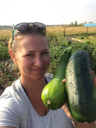 Angie shows freshly picked large dark green zucchinis
