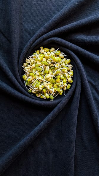 Easily Sprout Seeds like these for salads and sandwiches