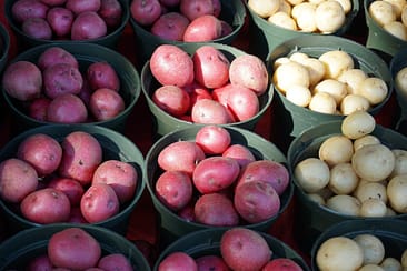 Fresh potatoes at a market in green buckets