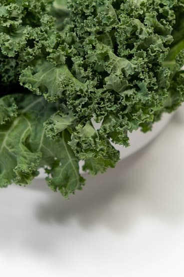 Fresh kale sits in a bowl on the counter