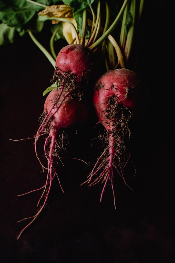 Fresh beets from the garden with dirt