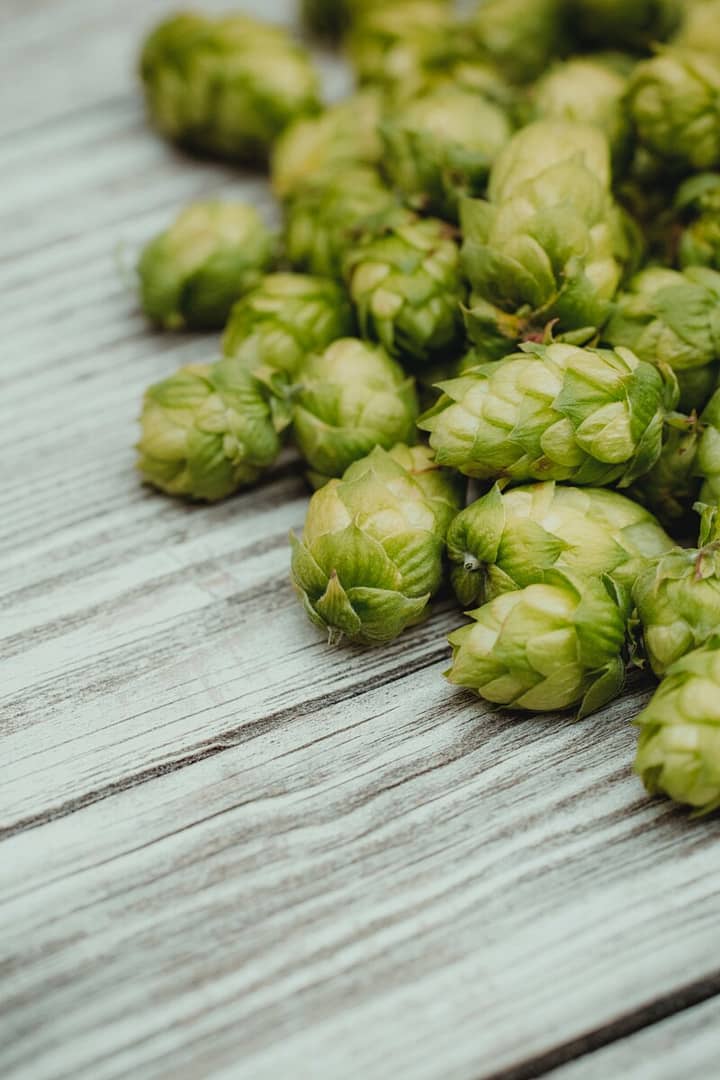 Fresh hops sit on picnic table waiting for you to make your own hop water.