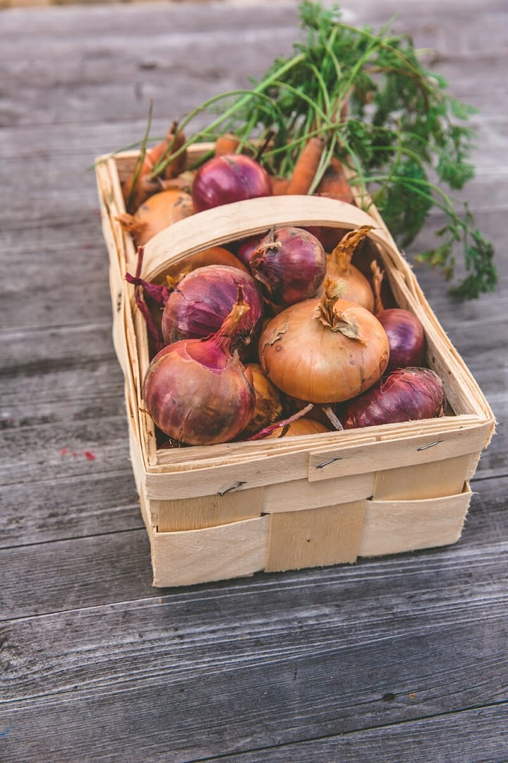Onions Are Like Magic in your garden - grow beautiful purple and yellow onions to deter pests this year!