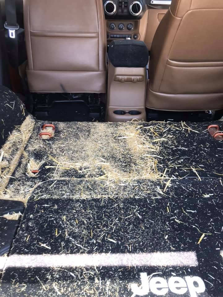 fresh straw makes a mess on the way to the garden