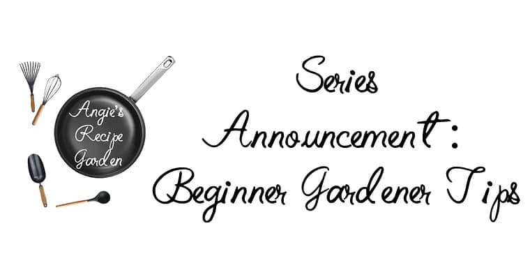 Launching Soon: Best Tips A Beginner Gardener Should Know
