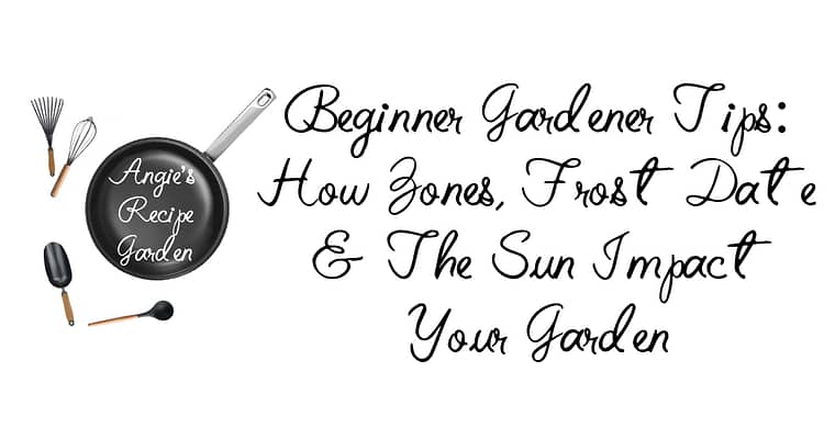 Easy Beginner Gardening Tips You Can Use Now