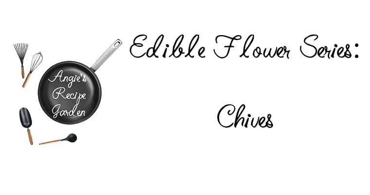 Make Your Garden Interesting By Adding Edible Flowers Like Chives