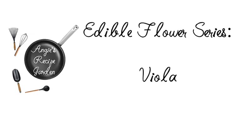 Beautiful Viola Flowers Will Make You Want To Bake More