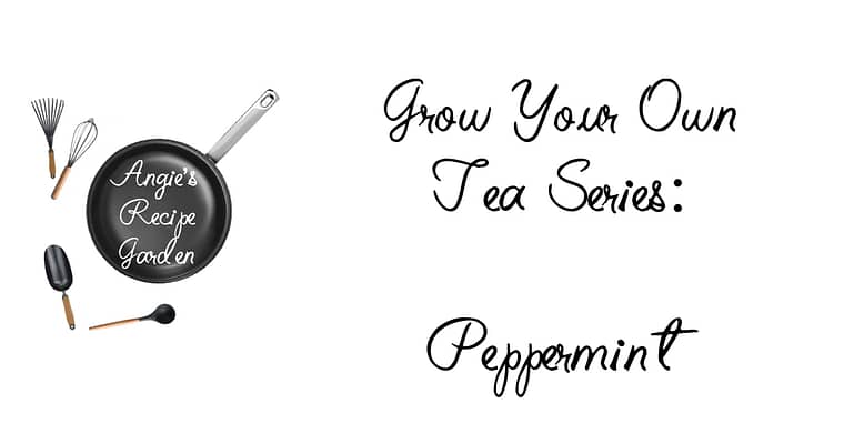 Grow Mint For A Guaranteed Fresh Cup Of Tea