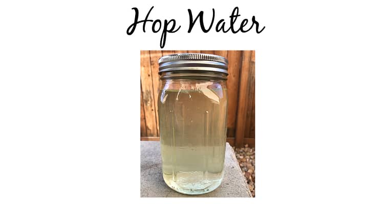 How To Make Your Own Hop Water To Try Before You Buy