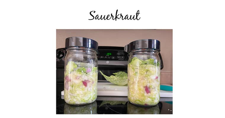 Homemade Sauerkraut Is Something Easy To Make Today