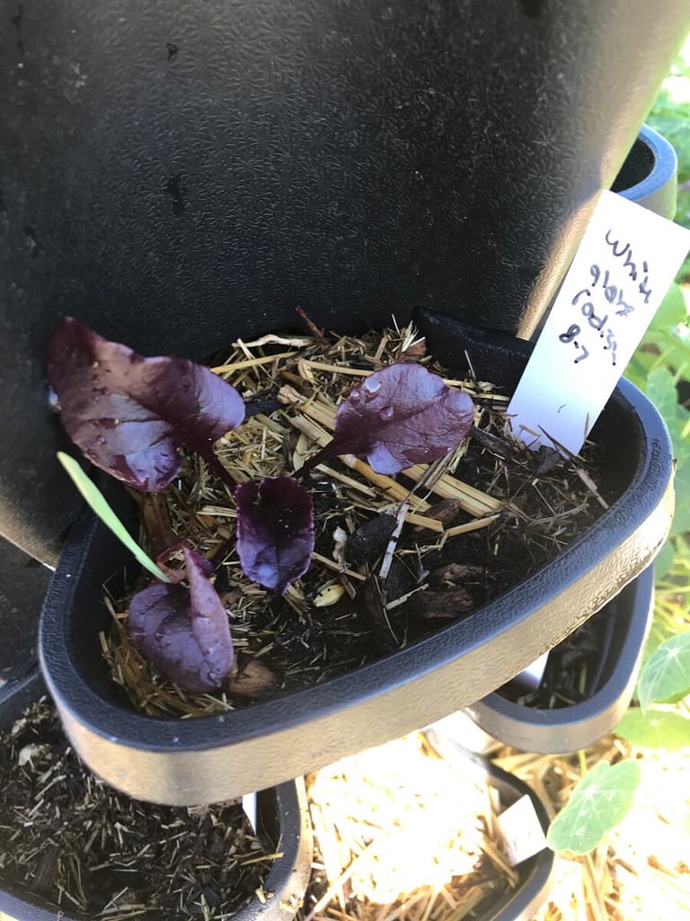 Angie's Recipe Garden shows a Mr. Stacky planter with plant growth