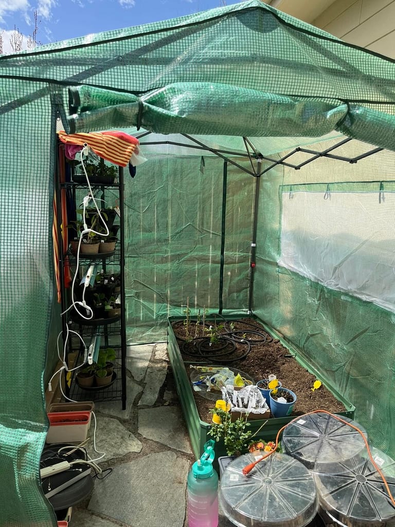 A greenhouse was used to prepare for gardening season.