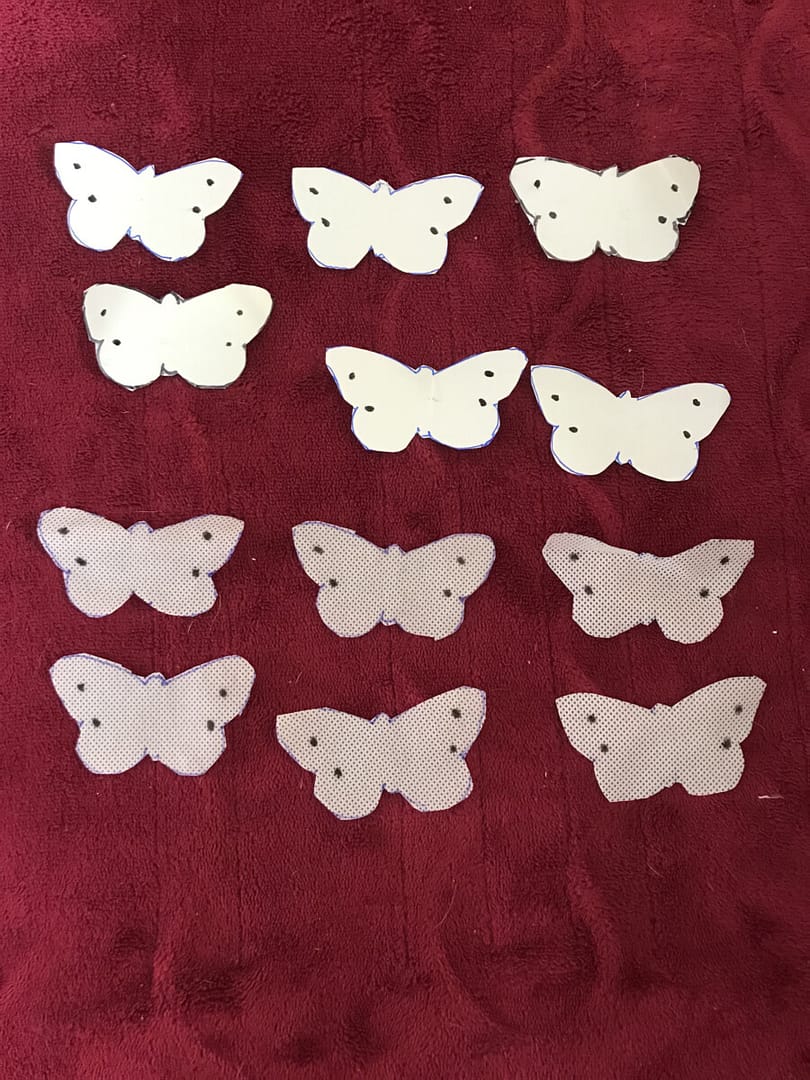 Create decoys for cabbage moths this year. These are completed cabbage moth decoys.