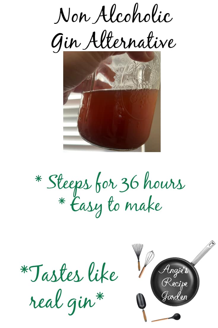 NonAlcoholic Gin Alternative Angie's Recipe Garden